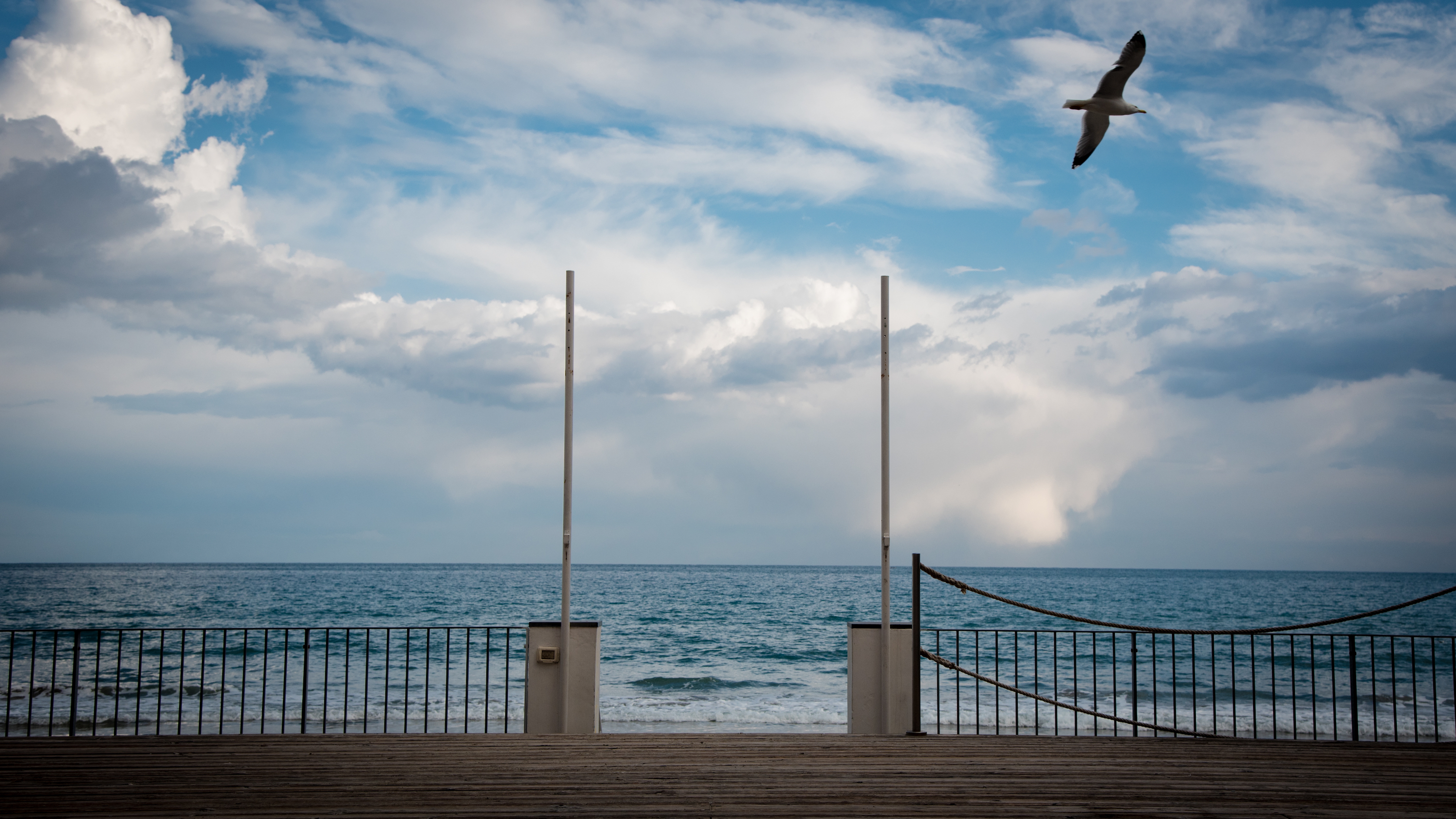 Foto di Diano con Wizzy